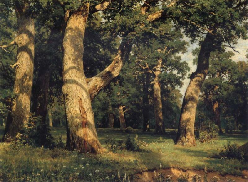 Ivan Shishkin Oak of the Forest Sweden oil painting art